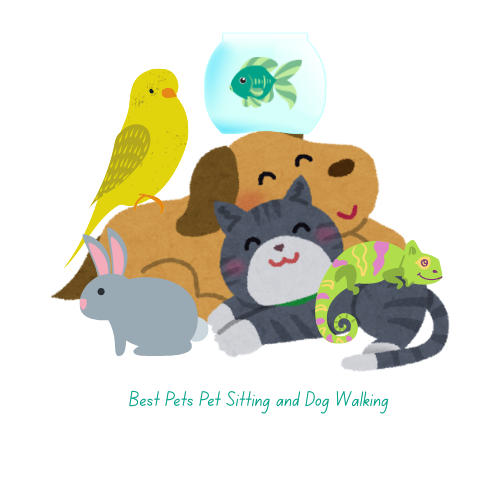 Best Pets Pet Sitting and Dog Walking